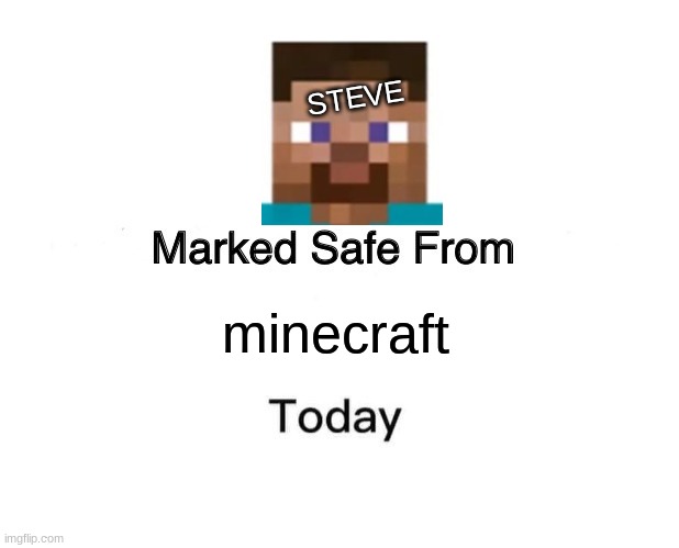 Marked Safe From | STEVE; minecraft | image tagged in memes,marked safe from | made w/ Imgflip meme maker