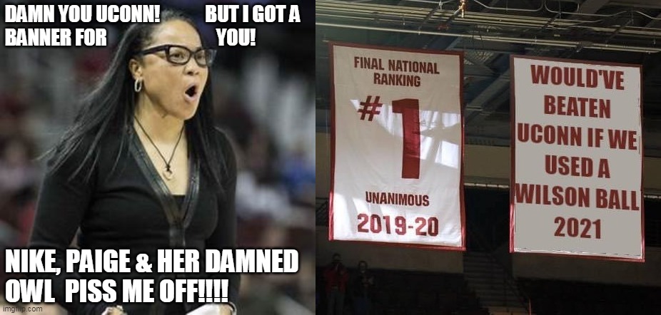 DAMN YOU UCONN!            BUT I GOT A
BANNER FOR                             YOU! NIKE, PAIGE & HER DAMNED
OWL  PISS ME OFF!!!! | made w/ Imgflip meme maker