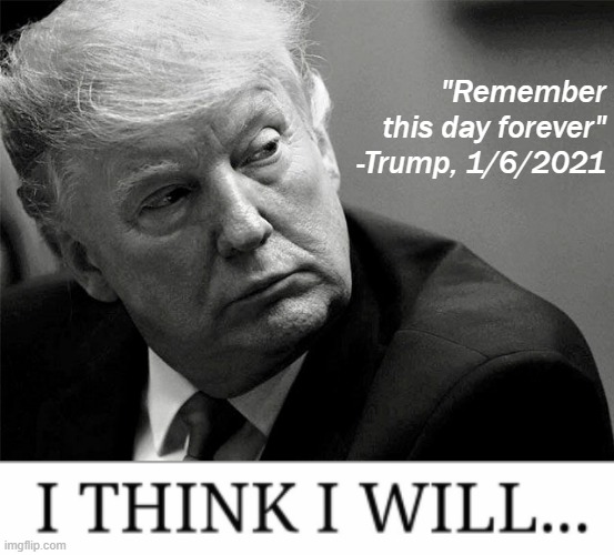 Every one of the 81+ million Americans who voted against Trump remembers the day he tried to steal our free democratic choice. | "Remember this day forever" -Trump, 1/6/2021 | image tagged in trump black and white,i think i will,capitol hill,riot,trump impeachment,impeach trump | made w/ Imgflip meme maker