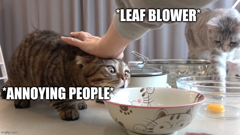 Cat Being Pushed Away | *LEAF BLOWER* *ANNOYING PEOPLE* | image tagged in cat being pushed away | made w/ Imgflip meme maker
