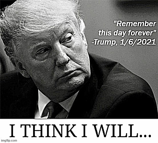 Matter fact, think I will | image tagged in trump remember this day forever,trump impeachment,impeach trump,impeach,capitol hill,riot | made w/ Imgflip meme maker