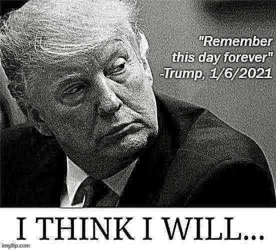 Matter fact, think I will | image tagged in trump impeachment,impeach trump,impeachment,impeach,capitol hill,riot | made w/ Imgflip meme maker