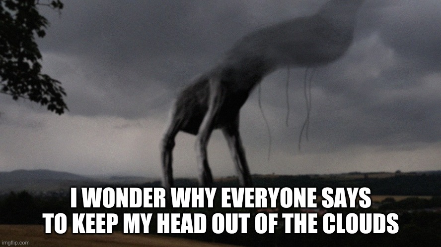 yee | I WONDER WHY EVERYONE SAYS TO KEEP MY HEAD OUT OF THE CLOUDS | image tagged in memes,funny,wtf,idk,cursed image | made w/ Imgflip meme maker