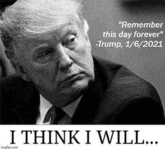 Matter fact, think I will | image tagged in trump remember this day forever,capitol hill,riot,trump impeachment,impeach trump,impeach | made w/ Imgflip meme maker