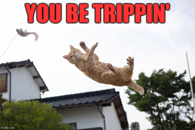Cat falling | YOU BE TRIPPIN' | image tagged in cat falling | made w/ Imgflip meme maker
