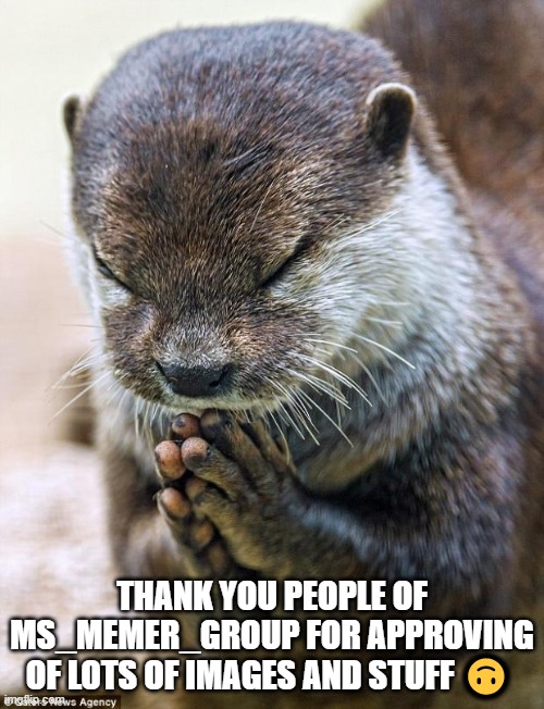 Thank you Lord Otter | THANK YOU PEOPLE OF MS_MEMER_GROUP FOR APPROVING OF LOTS OF IMAGES AND STUFF 🙃 | image tagged in thank you lord otter | made w/ Imgflip meme maker