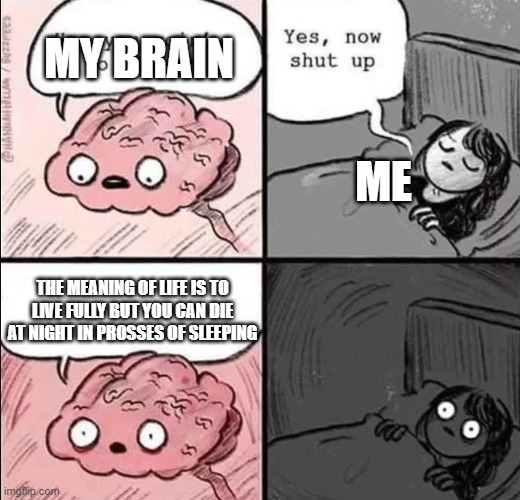 waking up brain | MY BRAIN; ME; THE MEANING OF LIFE IS TO LIVE FULLY BUT YOU CAN DIE AT NIGHT IN PROSSES OF SLEEPING | image tagged in waking up brain | made w/ Imgflip meme maker