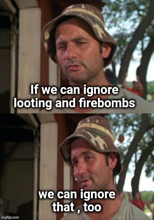 Bill Murray bad joke | If we can ignore looting and firebombs we can ignore that , too | image tagged in bill murray bad joke | made w/ Imgflip meme maker