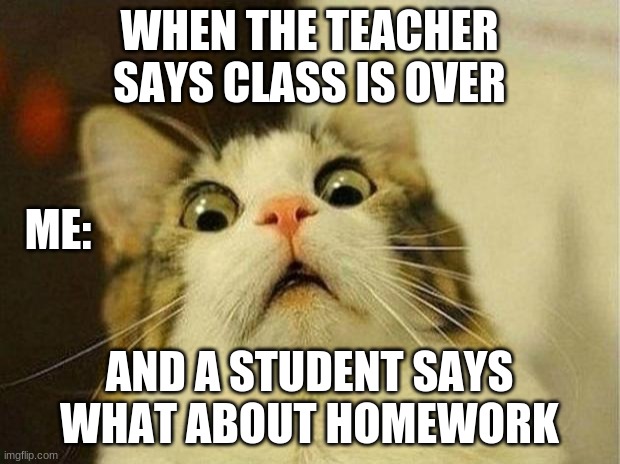 Scared Cat Meme | WHEN THE TEACHER SAYS CLASS IS OVER; ME:; AND A STUDENT SAYS WHAT ABOUT HOMEWORK | image tagged in memes,scared cat | made w/ Imgflip meme maker