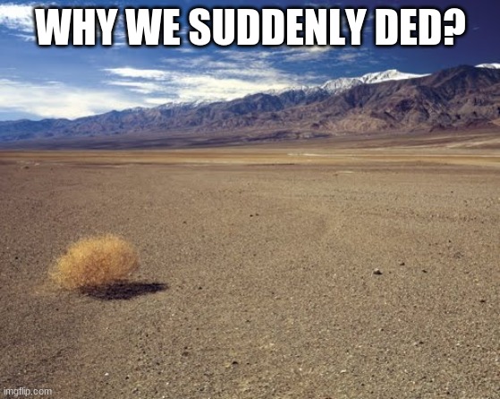 desert tumbleweed | WHY WE SUDDENLY DED? | image tagged in desert tumbleweed | made w/ Imgflip meme maker
