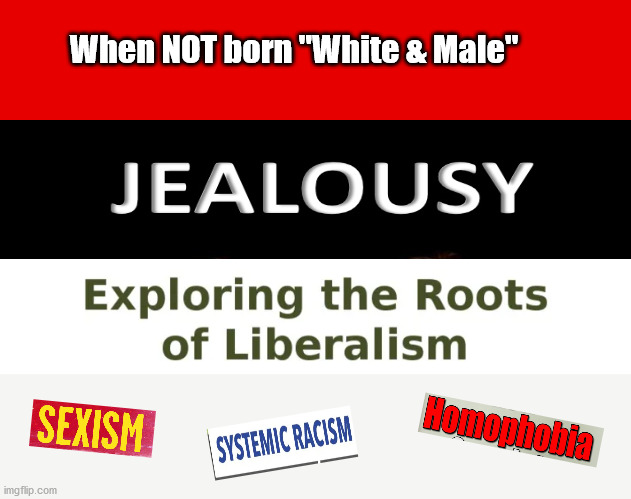 Jealousy, the ROOT of LIBERAL hate! | When NOT born "White & Male" | image tagged in jealousy,envy,liberalism,white jealousy,white guilt | made w/ Imgflip meme maker