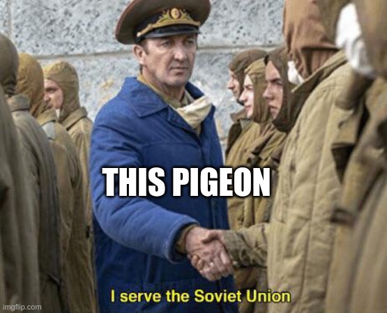 I serve the Soviet Union | THIS PIGEON | image tagged in i serve the soviet union | made w/ Imgflip meme maker