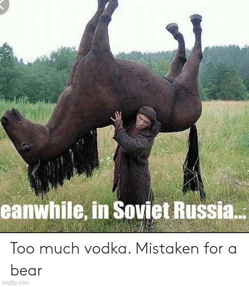 Meanwhile In Russia | image tagged in weird | made w/ Imgflip meme maker