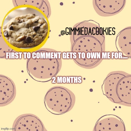 help |  FIRST TO COMMENT GETS TO OWN ME FOR....
 
 
2 MONTHS | image tagged in new template | made w/ Imgflip meme maker