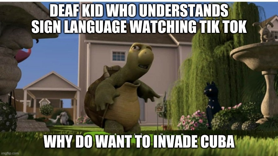 what is this place | DEAF KID WHO UNDERSTANDS SIGN LANGUAGE WATCHING TIK TOK; WHY DO WANT TO INVADE CUBA | image tagged in what is this place | made w/ Imgflip meme maker