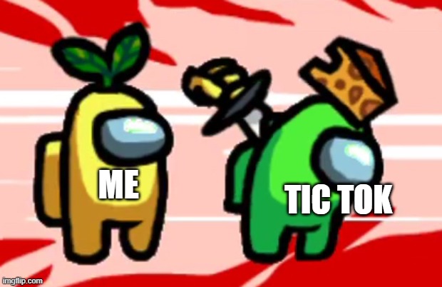 Among Us Stab | ME; TIC TOK | image tagged in among us stab | made w/ Imgflip meme maker