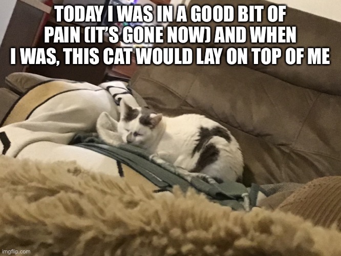 TODAY I WAS IN A GOOD BIT OF PAIN (IT’S GONE NOW) AND WHEN I WAS, THIS CAT WOULD LAY ON TOP OF ME | made w/ Imgflip meme maker