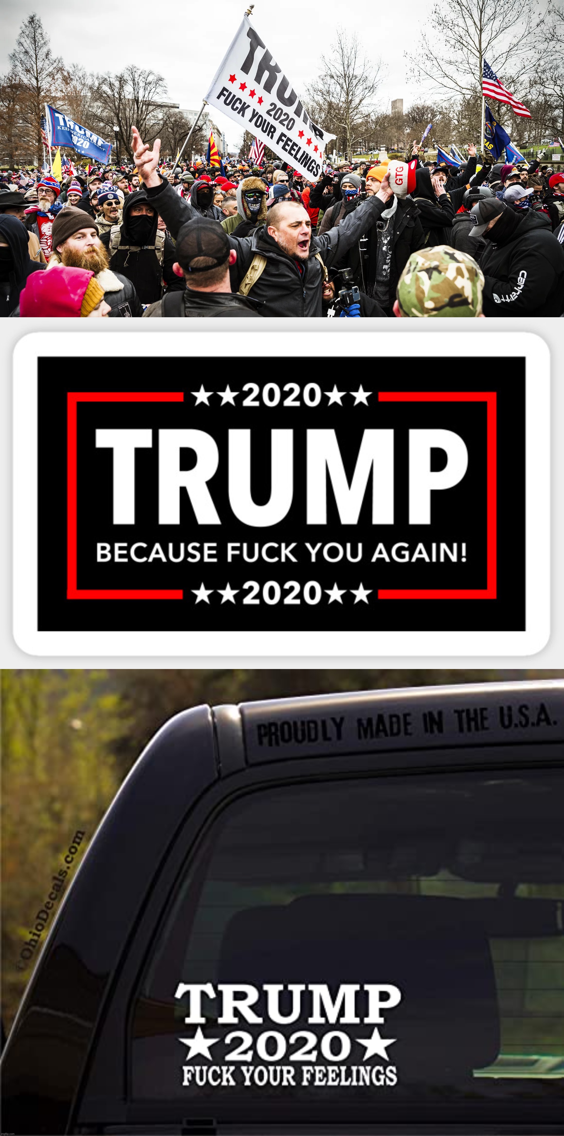 all Republicans want is uuuuuuuunityyyyyyyyy | image tagged in trump riot,trump 2020 because fuck you again,trump 2020 fuck your feelings | made w/ Imgflip meme maker