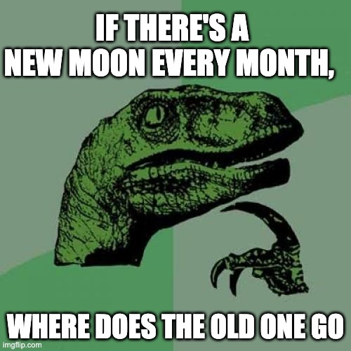 My final braincell | IF THERE'S A NEW MOON EVERY MONTH, WHERE DOES THE OLD ONE GO | image tagged in memes,philosoraptor,funny,lol,stop reading the tags,seriously | made w/ Imgflip meme maker