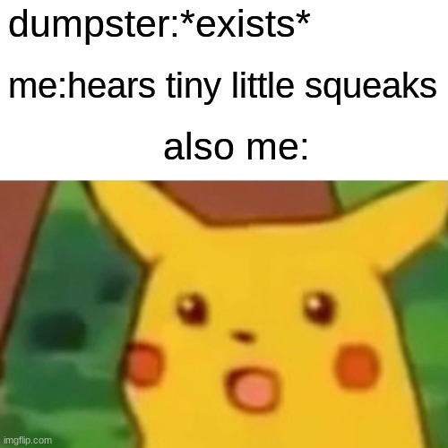 you only get it by reading the 2nd Fazbear frights book | dumpster:*exists*; me:hears tiny little squeaks; also me: | image tagged in memes,surprised pikachu | made w/ Imgflip meme maker