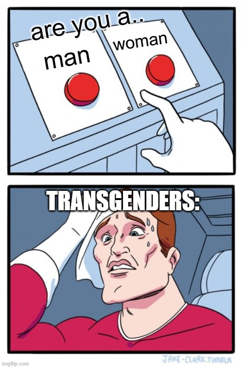 Two Buttons | are you a.. woman; man; TRANSGENDERS: | image tagged in memes,two buttons | made w/ Imgflip meme maker