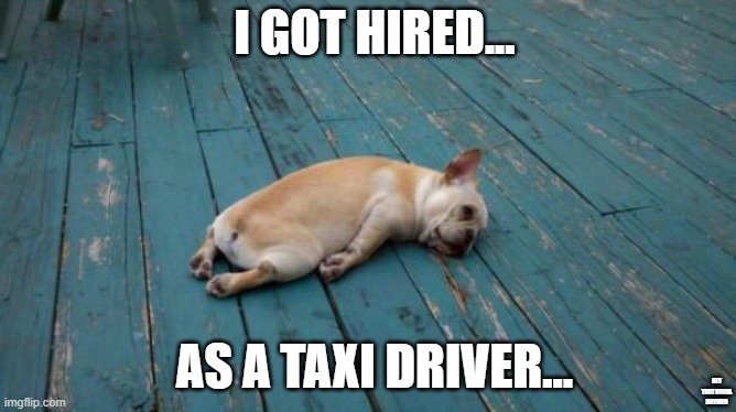 tired dog |  I GOT HIRED... AS A TAXI DRIVER... HEY THAT KINDA RHYMED | image tagged in tired dog | made w/ Imgflip meme maker