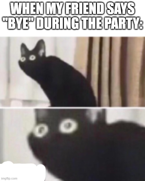 OH NO... | WHEN MY FRIEND SAYS "BYE" DURING THE PARTY: | image tagged in oh no cat | made w/ Imgflip meme maker