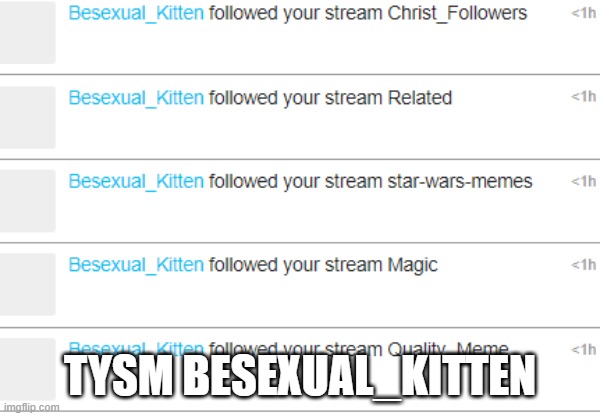 TYSM BESEXUAL_KITTEN | made w/ Imgflip meme maker