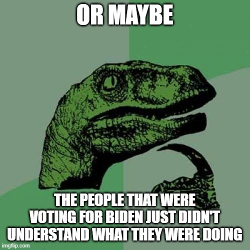 Philosoraptor Meme | OR MAYBE THE PEOPLE THAT WERE VOTING FOR BIDEN JUST DIDN'T UNDERSTAND WHAT THEY WERE DOING | image tagged in memes,philosoraptor | made w/ Imgflip meme maker