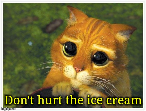 Shrek Cat Meme | Don't hurt the ice cream | image tagged in memes,shrek cat | made w/ Imgflip meme maker