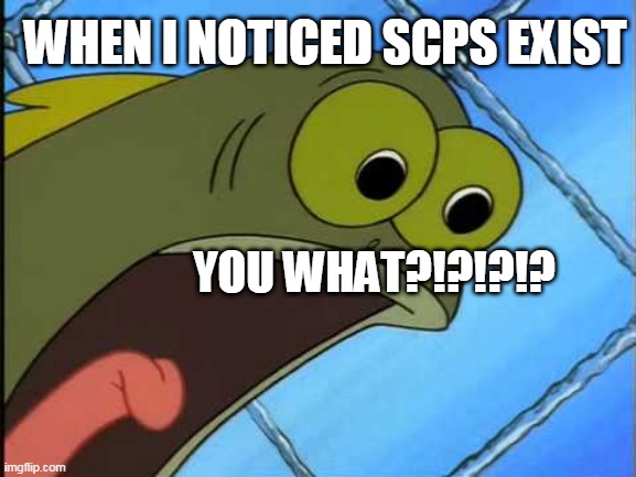 You what?! | WHEN I NOTICED SCPS EXIST; YOU WHAT?!?!?!? | image tagged in you what | made w/ Imgflip meme maker