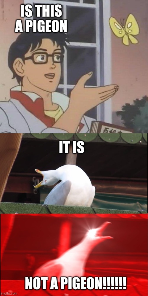 Wahoo | IS THIS A PIGEON; IT IS; NOT A PIGEON!!!!!! | image tagged in memes,is this a pigeon,screaming bird | made w/ Imgflip meme maker