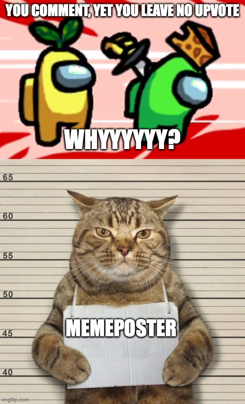YOU COMMENT, YET YOU LEAVE NO UPVOTE WHYYYYYY? MEMEPOSTER | image tagged in among us stab,guilty cat mug shot blank | made w/ Imgflip meme maker