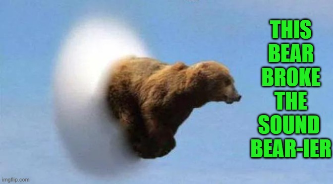 Bears Making History | THIS
BEAR
BROKE
THE
SOUND 
BEAR-IER | image tagged in vince vance,bears,sound barrier,funny animal meme,speed,flying | made w/ Imgflip meme maker