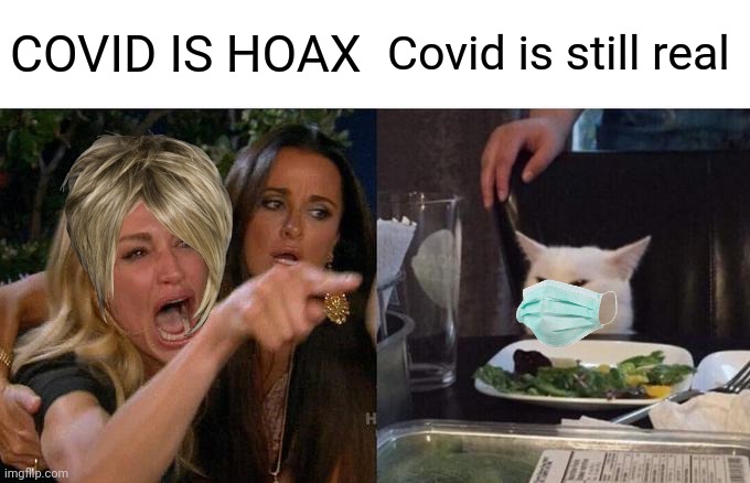 Arguing | COVID IS HOAX; Covid is still real | image tagged in memes,woman yelling at cat,argue,coronavirus,covid-19,funny | made w/ Imgflip meme maker