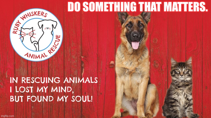 Ruby Whiskers Animal Rescue | DO SOMETHING THAT MATTERS. | image tagged in animal rescue | made w/ Imgflip meme maker