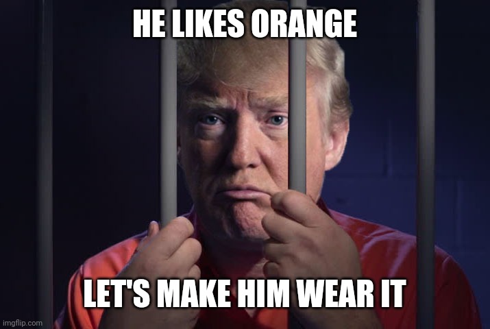 Trump Prison | HE LIKES ORANGE; LET'S MAKE HIM WEAR IT | image tagged in trump prison | made w/ Imgflip meme maker