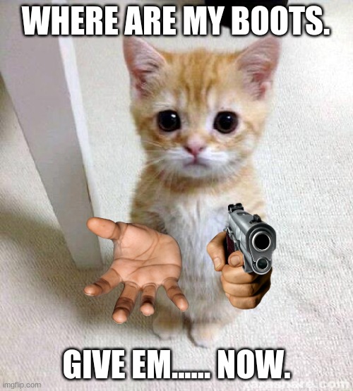 Cute Cat | WHERE ARE MY BOOTS. GIVE EM...... NOW. | image tagged in memes,cute cat | made w/ Imgflip meme maker