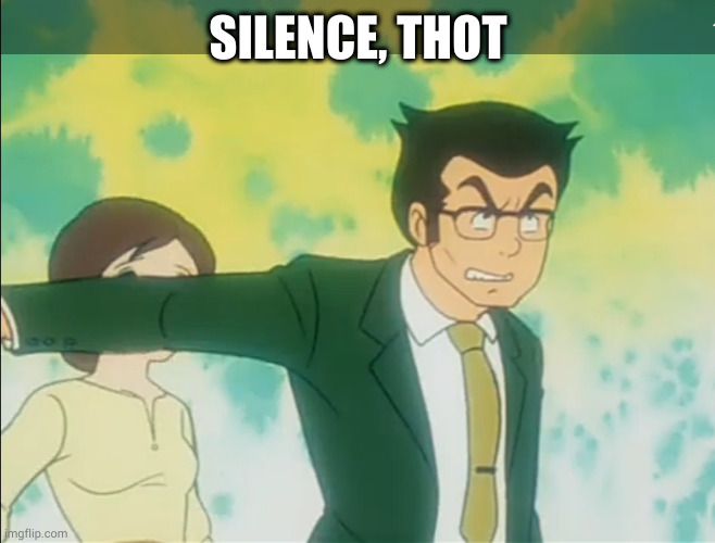 Silence Woman! | SILENCE, THOT | image tagged in anime | made w/ Imgflip meme maker