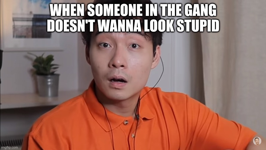meme | WHEN SOMEONE IN THE GANG DOESN'T WANNA LOOK STUPID | image tagged in funny memes | made w/ Imgflip meme maker