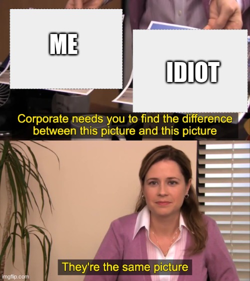 there the same picture | IDIOT; ME | image tagged in there the same picture | made w/ Imgflip meme maker