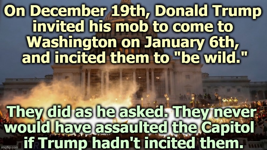 Never do what Trump tells you. He'll leave you high and dry every time. | On December 19th, Donald Trump 
invited his mob to come to 
Washington on January 6th, 
and incited them to "be wild."; They did as he asked. They never 
would have assaulted the Capitol  
if Trump hadn't incited them. | image tagged in capitol riot assault attack on democracy,trump,invited,mob,assault | made w/ Imgflip meme maker