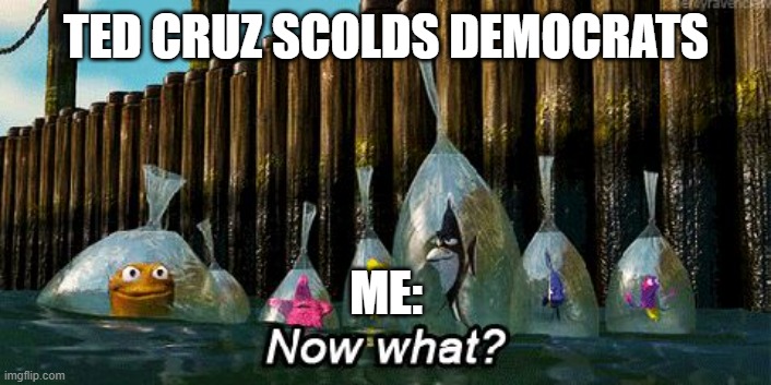 Hopefully, Republicans put out some legislation to put an end to this political theatre and OPEN AMERICA BACK UP | TED CRUZ SCOLDS DEMOCRATS; ME: | image tagged in now what | made w/ Imgflip meme maker