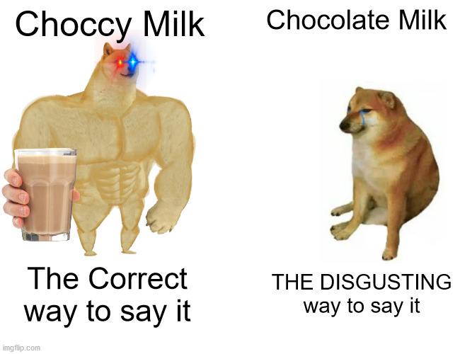 Which is the better way to say it? | Choccy Milk; Chocolate Milk; The Correct way to say it; THE DISGUSTING way to say it | image tagged in memes,buff doge vs cheems | made w/ Imgflip meme maker