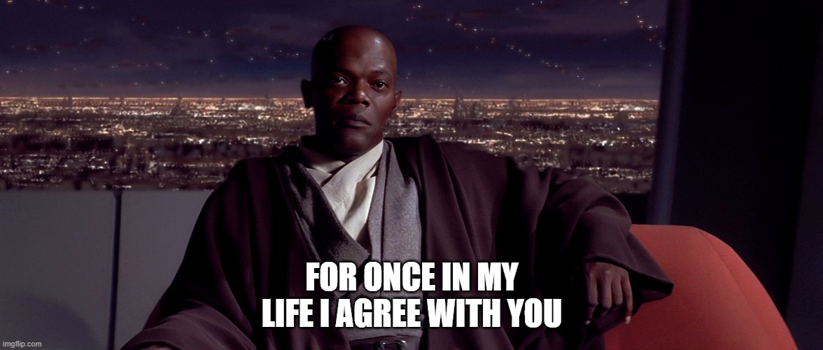 Mace Windu I agree | FOR ONCE IN MY LIFE I AGREE WITH YOU | image tagged in mace windu i agree | made w/ Imgflip meme maker