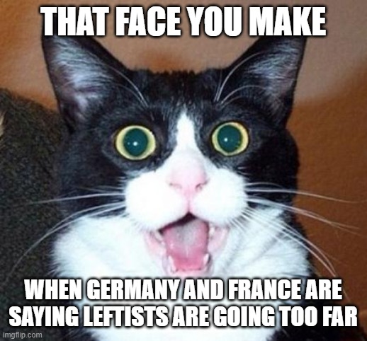 Dude, Conservatives/Libertarians/Centrists have been saying this for four years, maybe now leftists will listen? | THAT FACE YOU MAKE; WHEN GERMANY AND FRANCE ARE SAYING LEFTISTS ARE GOING TOO FAR | image tagged in surprised cat lol,germany and france,really,america,leftist,make america great again | made w/ Imgflip meme maker