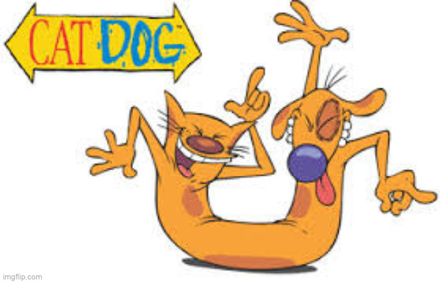 catdog crazy | image tagged in catdog crazy | made w/ Imgflip meme maker