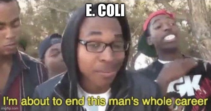 I’m about to end this man’s whole career | E. COLI | image tagged in i m about to end this man s whole career | made w/ Imgflip meme maker