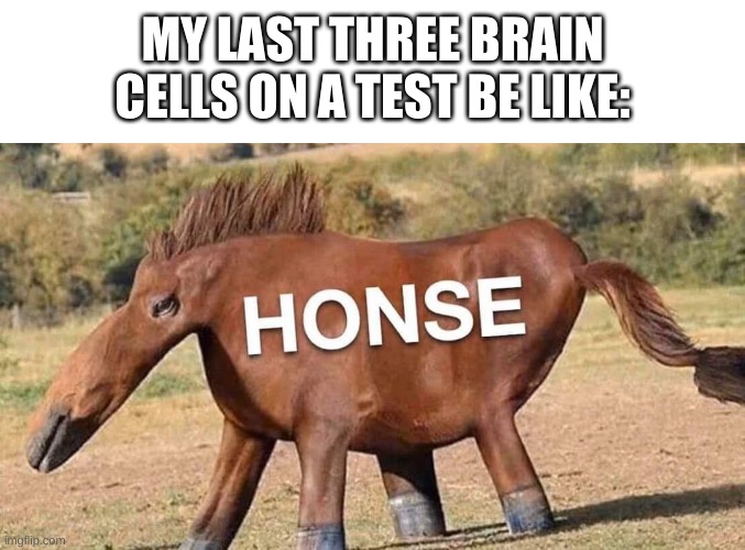 WHEEZE- | MY LAST THREE BRAIN CELLS ON A TEST BE LIKE: | image tagged in memes,funny,horse,wtf,cursed image,lmao | made w/ Imgflip meme maker