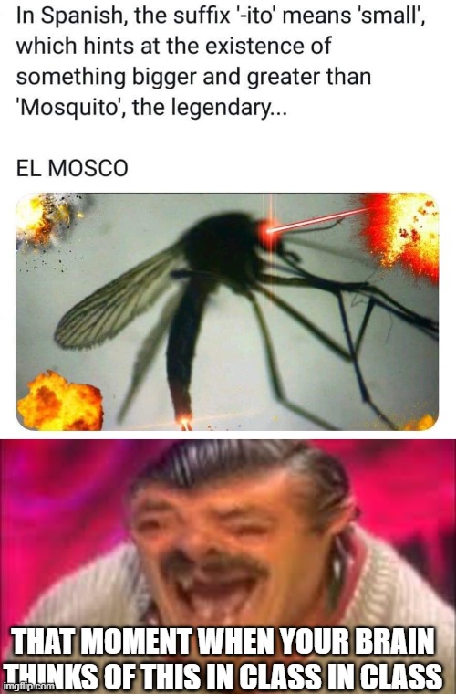 El Mosco | THAT MOMENT WHEN YOUR BRAIN THINKS OF THIS IN CLASS IN CLASS | image tagged in el mosco | made w/ Imgflip meme maker